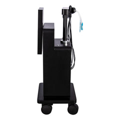 EMS Facial Rejuvenation Machine Pro